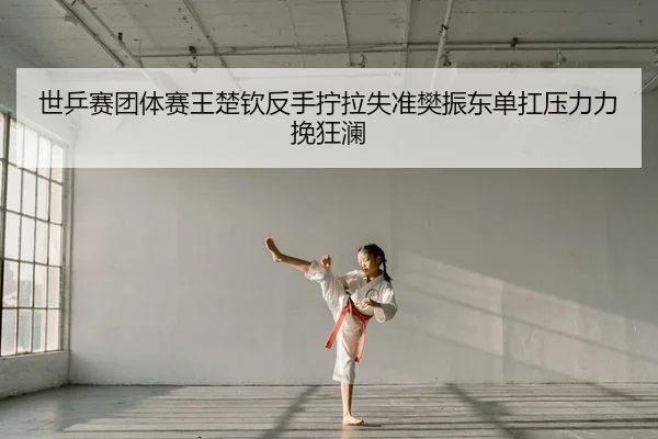shi-ping-sai-tuan-ti-sai-wang-chu-qin-fan-shou-ning-la-shi-zhun-fan-zhen-dong-dan-kang-ya-li-li-wan-kuang-lan-2-237.jpg